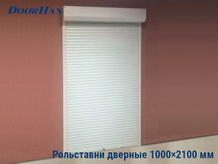 Рольставни на двери 1000×2100 мм в Шахтах от 21804 руб.